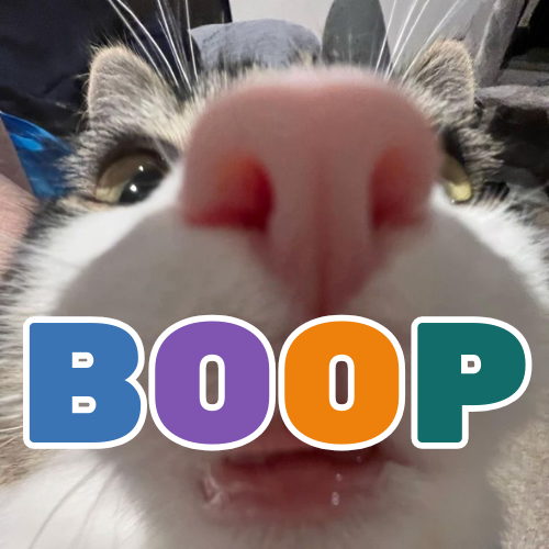 BOOP: How to Right Code!